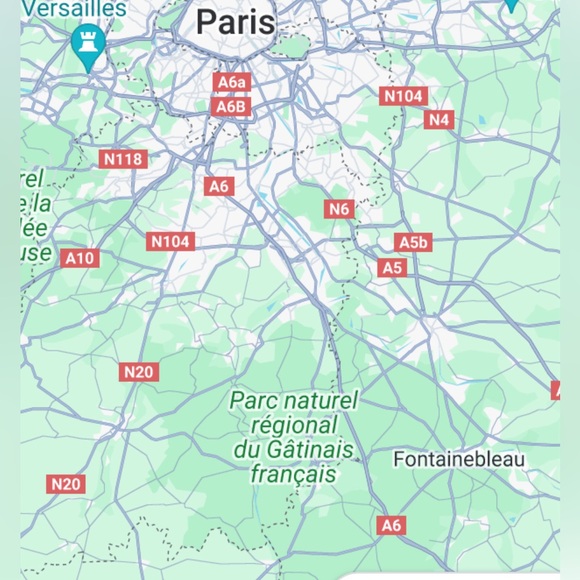 FONTAINEBLEAU town in Paris France Antique Souvenir Silver Tone Fern Leaf Pin - Picture 7 of 8